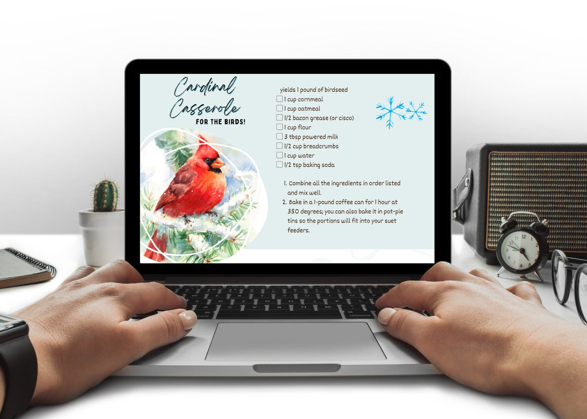Customizable Realtor marketing newsletter for December with festive winter graphics, real estate information, client tips, and engaging seasonal pages.