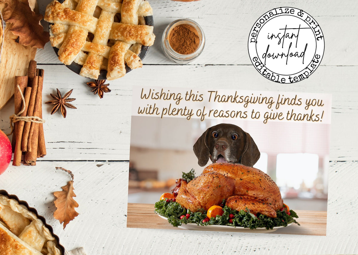 Funny Thanksgiving realtor postcard featuring a surprised dog behind a roasted turkey and a thankful holiday message