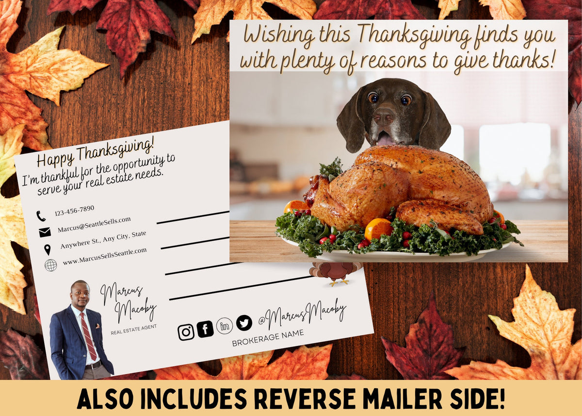 Funny Thanksgiving realtor postcard featuring a surprised dog behind a roasted turkey and a thankful holiday message